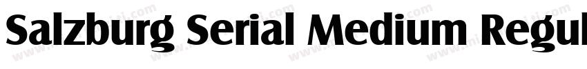 Salzburg Serial Medium Regular字体转换